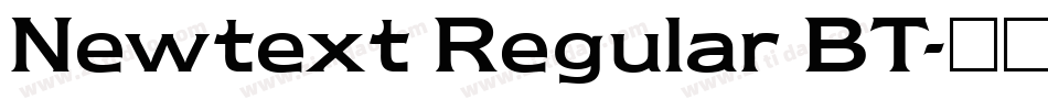 Newtext Regular BT字体转换